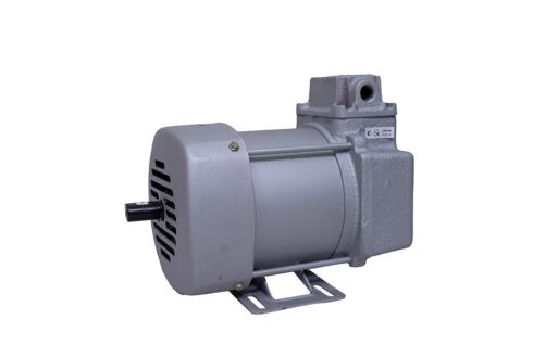 FLAMEPROOF INDUCTION MOTOR
